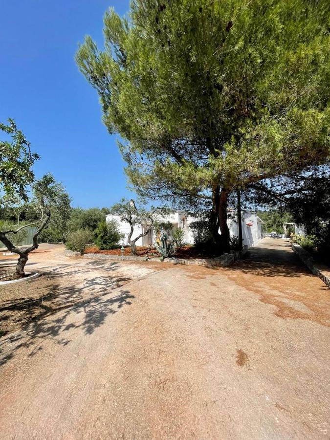 Residenza Fumarola Daire Ostuni Dış mekan fotoğraf